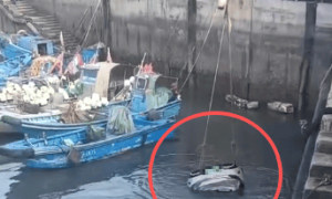 汽车凌晨坠海，车主不幸去世！福建平潭、小米汽车等多方回应